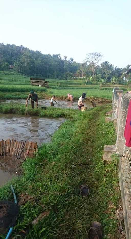 Ikan Pindang Wa Asiah 3