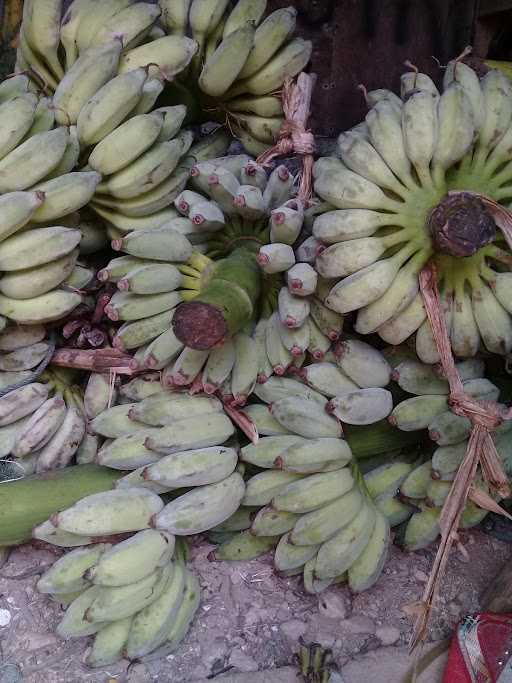 Sale Pisang Dua Putri Mm 7