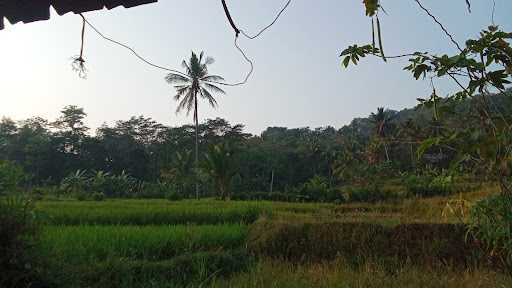 Warung Sawah Bi Alah 2