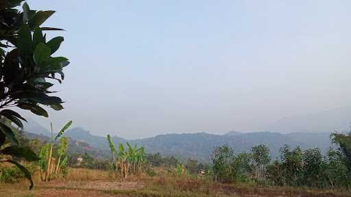 Warung Sawah Bi Alah 1