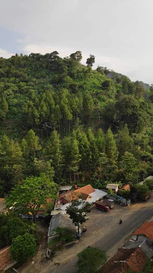 Puncak Pinus Cariu Jonggol 7