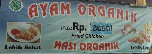 Ayam Organik 2