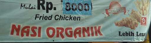 Ayam Organik 5