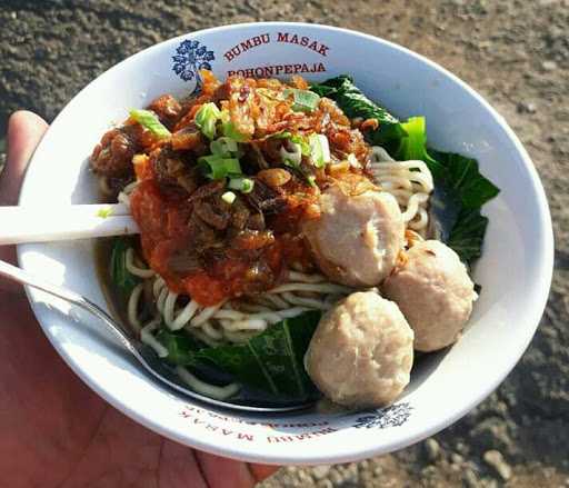 Baso Yasmine 4