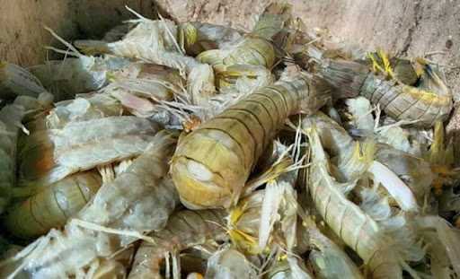 Seafood Pantura Cikampek 2