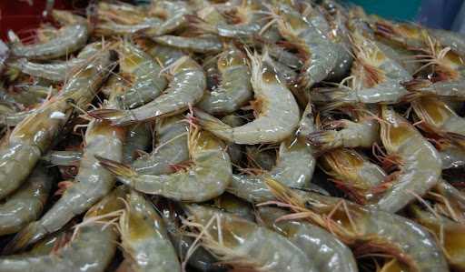 Seafood Pantura Cikampek 3