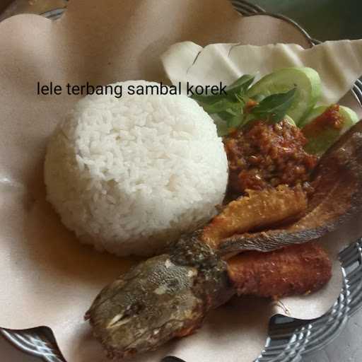 Ayam Panik Jatiwangi 8