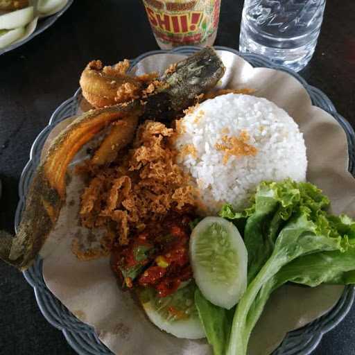 Ayam Panik Jatiwangi 3