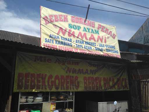 Bebek Goreng Pedas Numani 5