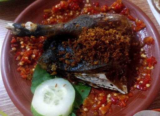 Bebek Kendil 6