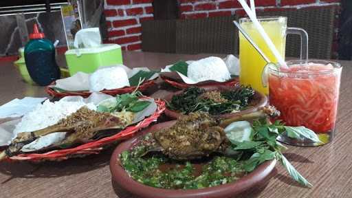 Bebek Kendil 3