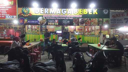 Dermaga Bebek Taman Aster 6