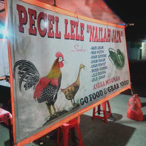 Pecel Lele Nailah Jaya 2