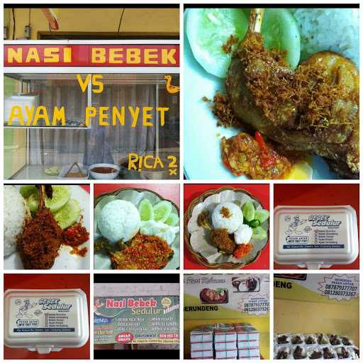 Nasi Bebek Sedulur 7