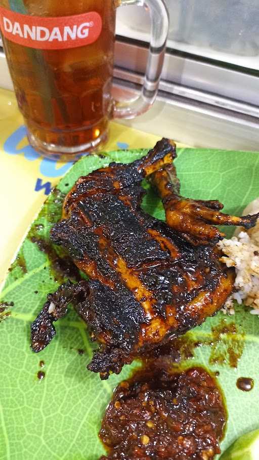 Ayam Bakar Paijo 5