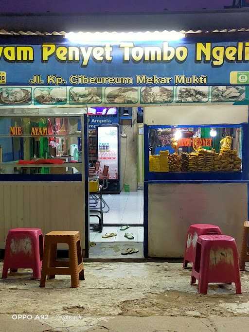 Ayam Penyet Tombo Ngelih 4