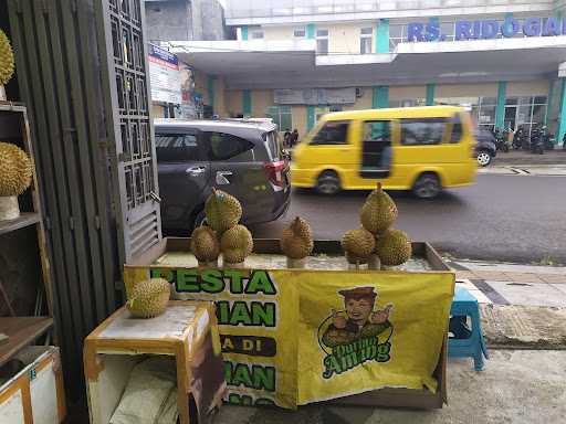 Durian Amang 2 4