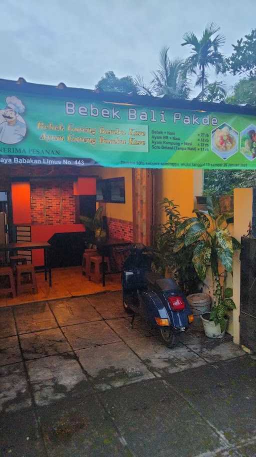 Bebek Bali Pakde 4