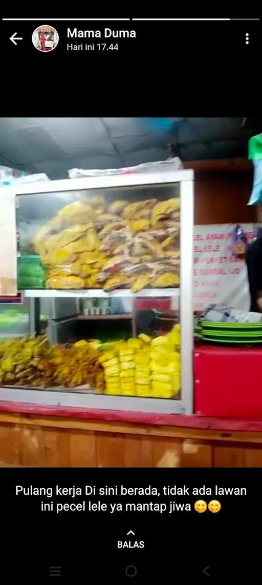 Pecel Lele Lamongan 10