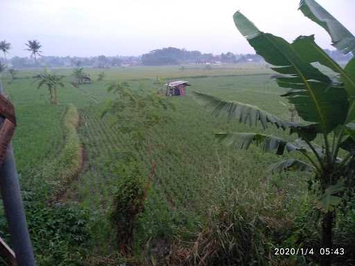 Dapur Mama Ocha 8