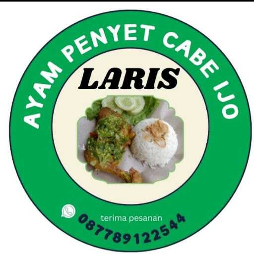 Ayam Penyet Cabe Ijo Laris 8