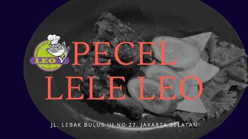 Pecel Lele Leo 10