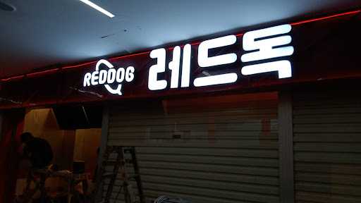 Reddog - Point Square 10