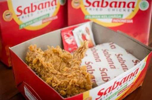 Sabana Fried Chicken Jalan Benda Kemang 7