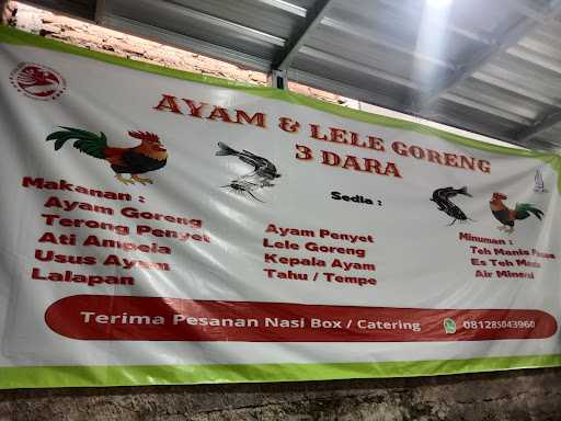 Ayam & Lele Goreng 3 Dara 7