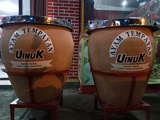 Ayam Tempayan Uinuk 2