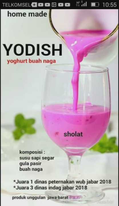 Yodish Yoghurt 4