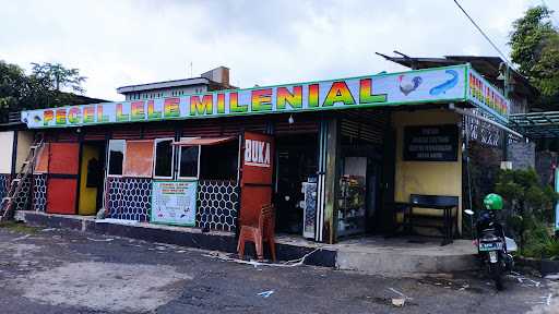 Pecel Lele Milenial 2