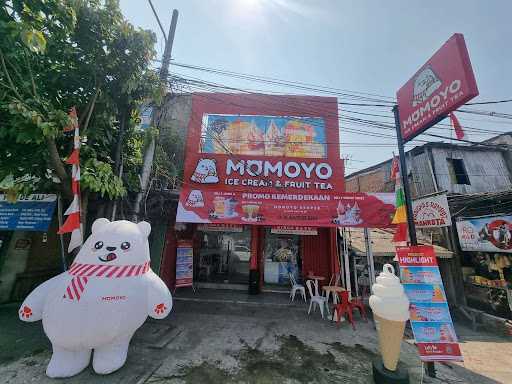 Momoyo Semper 8