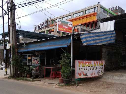 Ayam Bakar Madu Jolali 9