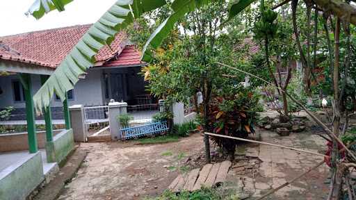 Bakso Podomoro 8