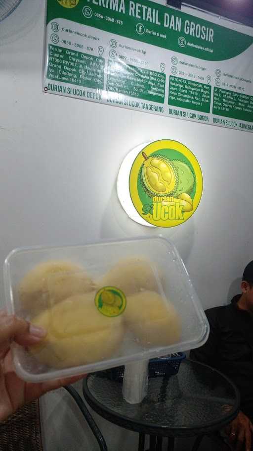 Durian Si Ucok 7