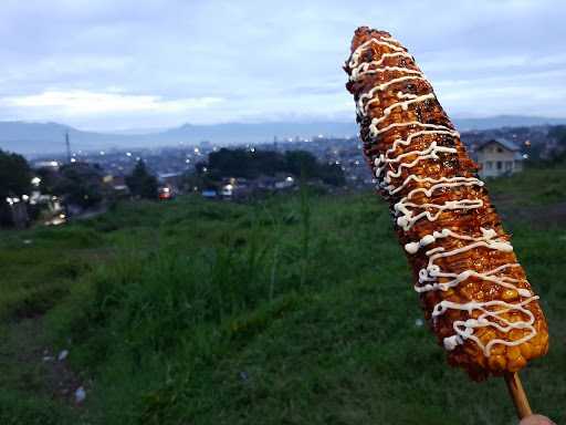 Ayam Bakar Barbar 5