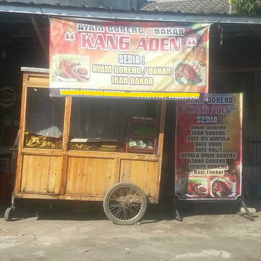 Ayam Kang Aden 6