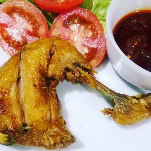 Ayam Kang Aden 1