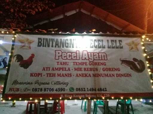 Bintangnya Pecel Lele 2