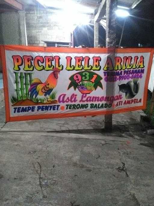 Pecel Lele Arilia .Asli Lamongan 1