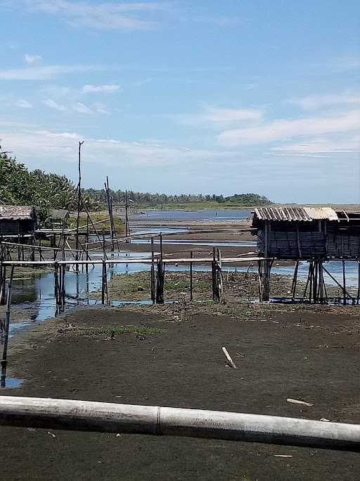 Bakar Ikan Mas Wahyu 8