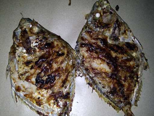 Bakar Ikan Nn2 5