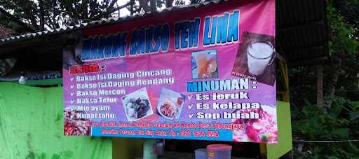 Warung Bakso Teh Lina 10