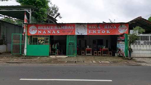 Warung Makan Mbak Sri - Cpp 1