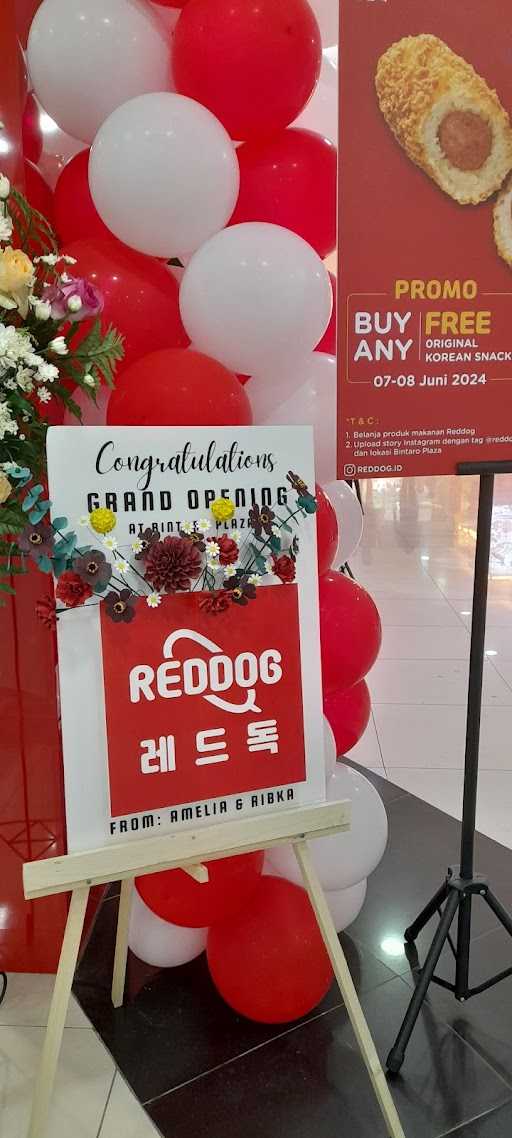 Reddog - Bintaro Plaza 2