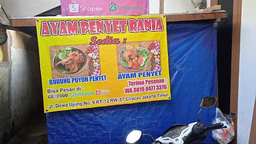 Ayam Penyet Rania 9