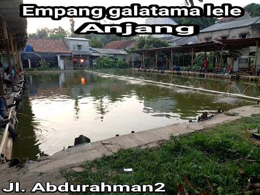 Pemancingan Galatama Lele Anjang 6