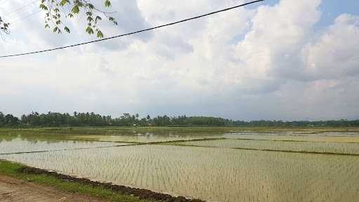 Mie Ayam Mas Toyo 3