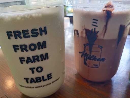 Erif Dairy Farm Yoghurt 5